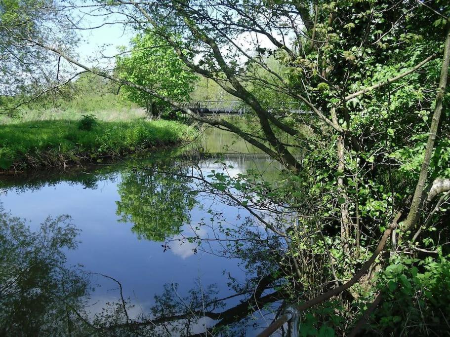 Polly'S Place Apartment Taunton & Free Off Road Parking & Wifi Zewnętrze zdjęcie